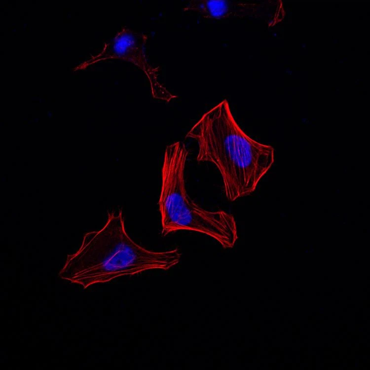 1696645847732uoMGRt(001)