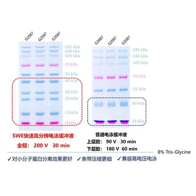 SWE Rapid High Resolution Running Buffer (duft)